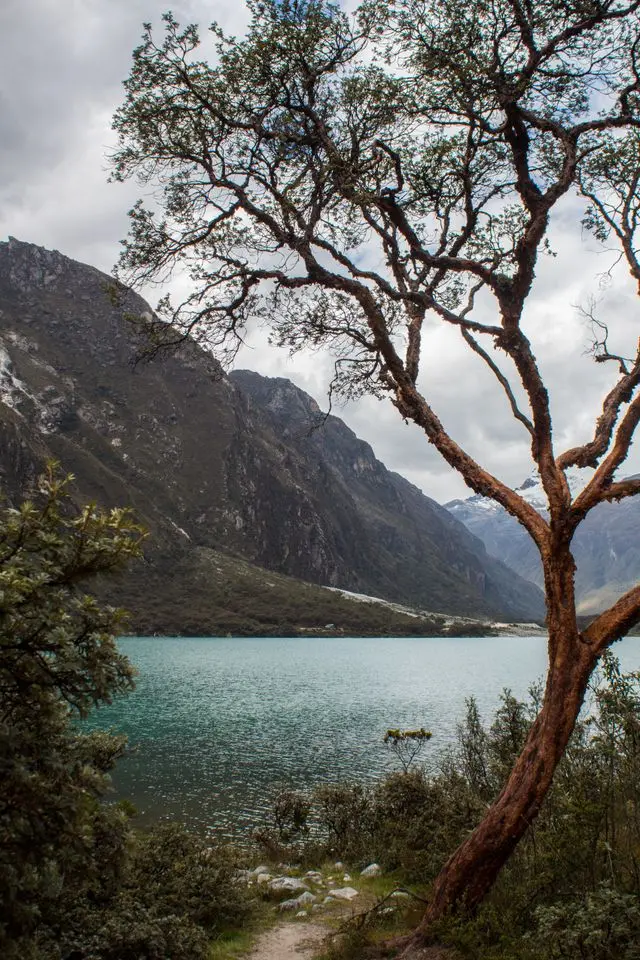 Laguna Llanganuco